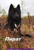 Обложка книги "Пират"