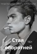 Обложка книги "Стая оборотней"