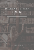 Обложка книги "Тридцать минут ровно"