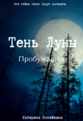 Обложка книги "Тень Луны. Пробуждение"