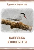 Обложка книги "Капелька волшебства"