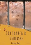 Обложка книги "Спускаясь в тишине"