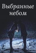 Обложка книги "Выбранные небом"