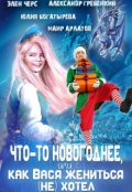 Обложка книги "Что-то новогоднее, или Как Вася жениться (не) хотел"