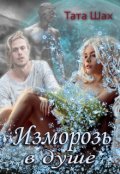 Обложка книги "Изморозь в душе. "