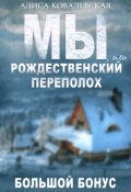 Обложка книги "Мы, или Рождественский переполох"