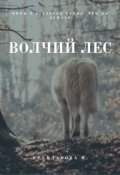 Обложка книги "Волчий лес"