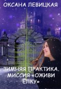 Обложка книги "Зимняя практика. Миссия "Оживи ёлку"."