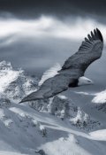 Обложка книги "Шерегеш"
