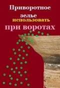 Обложка книги "Приворотное зелье использовать при воротах"