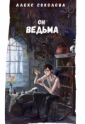 Обложка книги "Он ведьма"