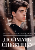 Обложка книги "Поймать снежинку"