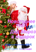 Обложка книги "Новогоднее чудо или Дед Мороз в подарок"