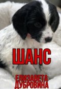Обложка книги "Шанс"