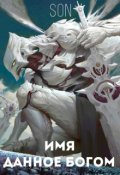 Обложка книги "Имя данное богом"