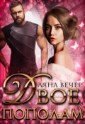 Обложка книги "Двое пополам"