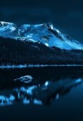 Обложка книги "Карусель горящих лампочек"