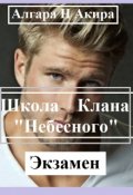 Обложка книги "Школа "Небесного" Клана"
