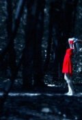 Обложка книги "Аня, путь воина"