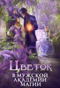 Обложка книги "Цветок в мужской академии магии"