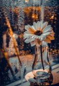 Обложка книги "Я приду к тебе дождем"