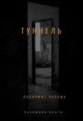 Обложка книги "Туннель"