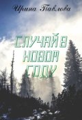 Обложка книги "Случай в новом году."