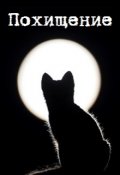 Обложка книги "Похищение"