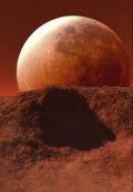 Обложка книги "Вирус бессмертия "