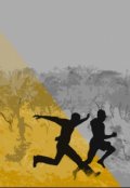 Обложка книги "Африканское происхождение"