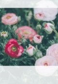 Обложка книги "Цветок любви"