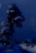 Обложка книги "Отец Николай"