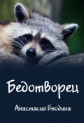Обложка книги "Бедотворец"