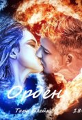 Обложка книги "Орден"
