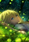 Обложка книги "Фея в сумерках"