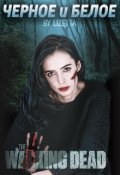 Обложка книги "Чёрное и белое"