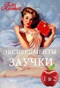Обложка книги "Эксперименты заучки "