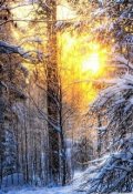 Обложка книги "Одинокий снеговик"