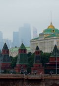 Обложка книги "Консультант"