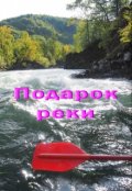 Обложка книги "Подарок реки"