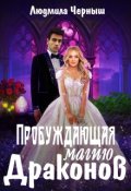Обложка книги "Пробуждающая магию драконов"