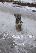 Обложка книги "У собаки есть душа"