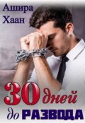 Обложка книги "Тридцать дней до развода"