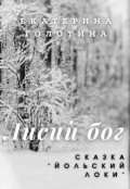 Обложка книги "Йольский Локи"
