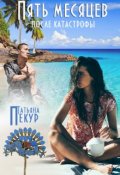 Обложка книги "Пять Месяцев После Катастрофы"