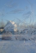 Обложка книги "Я система в системе не Я"