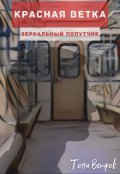 Обложка книги "Зеркальный попутчик"