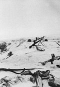 Обложка книги "Мертвые Расскажут О Живых"
