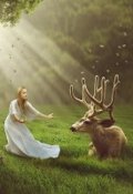Обложка книги "Принцесса Роз-Мари и принц эльфов"