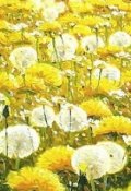 Обложка книги "Одуванчики"